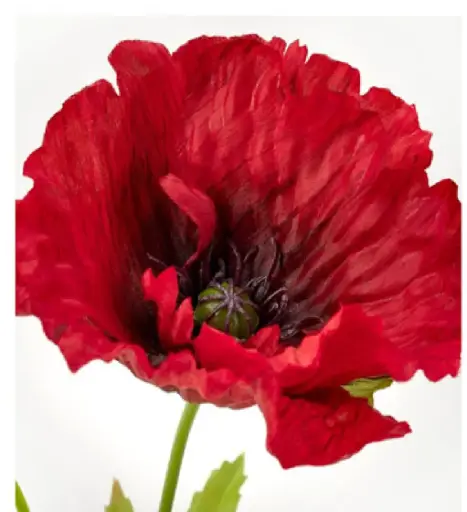 [805.133.79] Andledning 40см улаан цэцэг