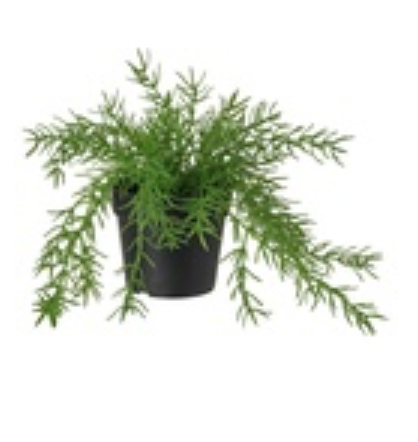 [804.761.07] Fejka 9см нарийн навчит өвс