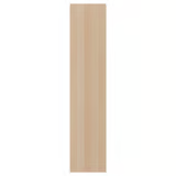 [004.349.65] Forsand 50*229 шаргал матт хаалга